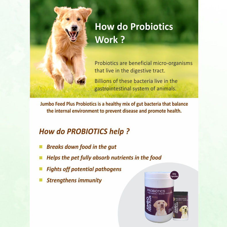 probiotic dog food