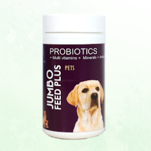 probiotic dog food