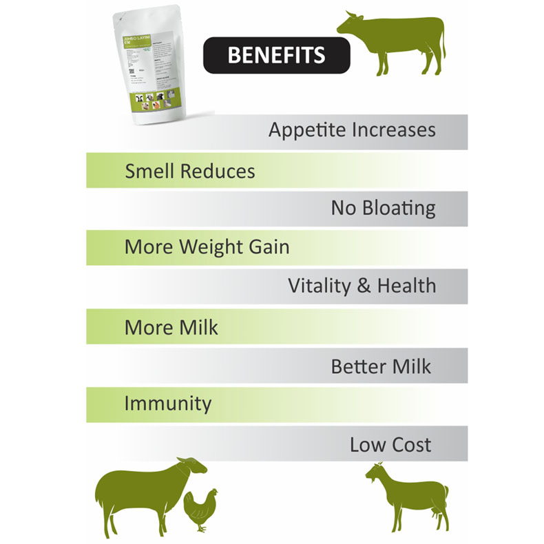 Jumbo Layini-benefits