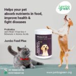 Probiotic Supplements for Dogs and cats